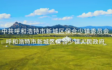 新城區(qū)保合少鎮